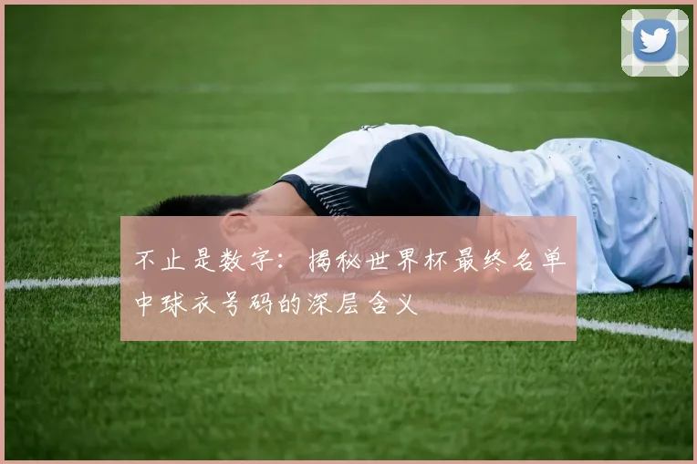 不止是数字：揭秘世界杯最终名单中球衣号码的深层含义