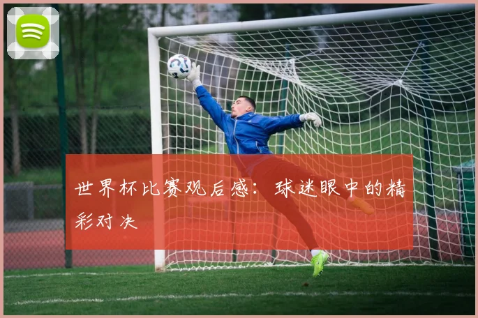 世界杯比赛观后感：球迷眼中的精彩对决