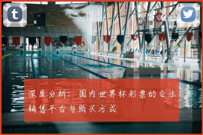 深度分析：国内世界杯彩票的合法销售平台与购买方式