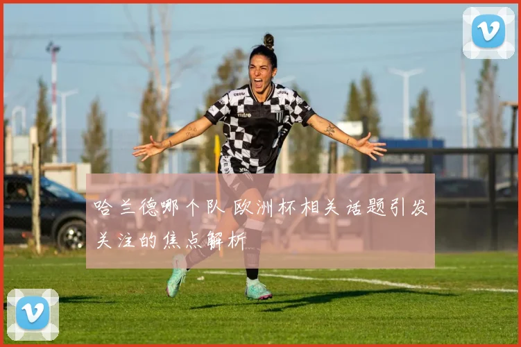 哈兰德哪个队 欧洲杯相关话题引发关注的焦点解析
