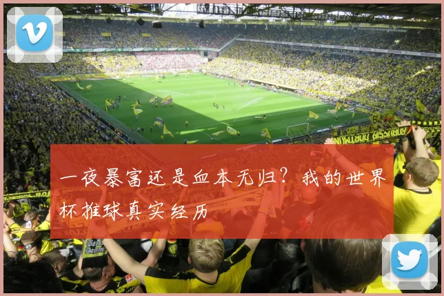 一夜暴富还是血本无归?我的世界杯推球真实经历