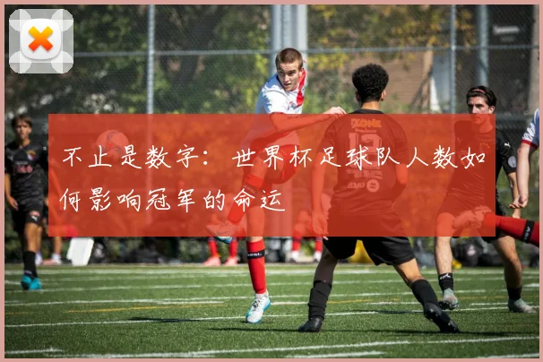 不止是数字：世界杯足球队人数如何影响冠军的命运