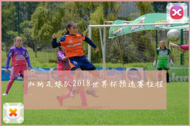 加纳足球队2018世界杯预选赛征程