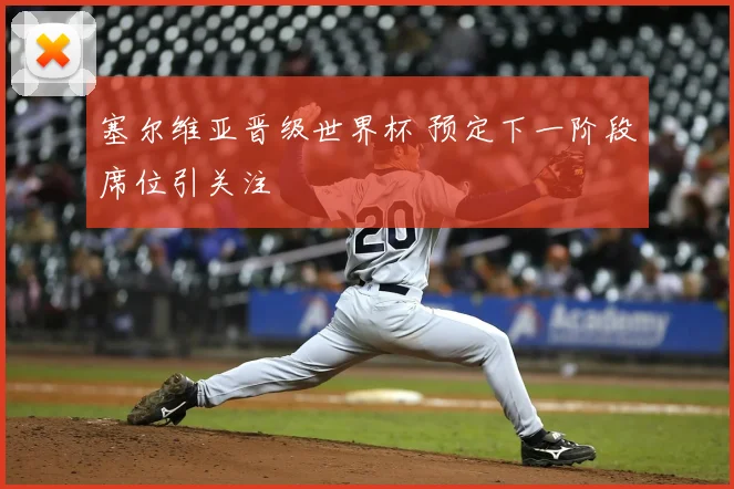 塞尔维亚晋级世界杯 预定下一阶段席位引关注