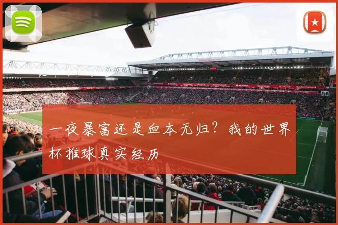 一夜暴富还是血本无归?我的世界杯推球真实经历