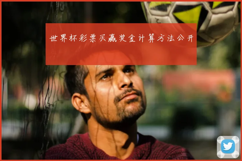 世界杯彩票买赢奖金计算方法公开