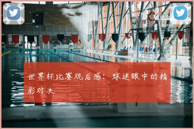 世界杯比赛观后感：球迷眼中的精彩对决