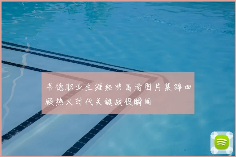 韦德职业生涯经典高清图片集锦回顾热火时代关键战役瞬间