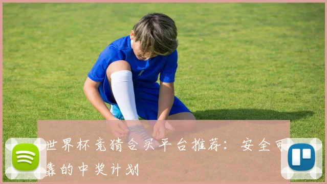 世界杯竞猜合买平台推荐：安全可靠的中奖计划