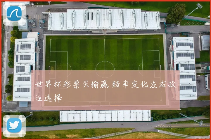 世界杯彩票买输赢 赔率变化左右投注选择