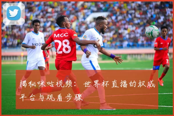 揭秘咪咕视频：世界杯直播的权威平台与观看步骤