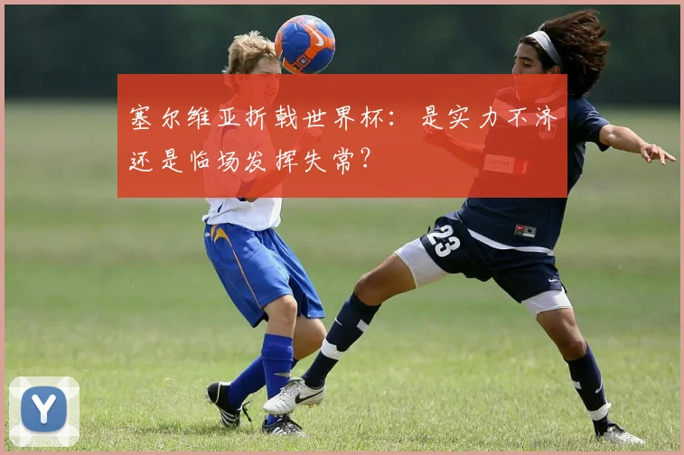 塞尔维亚折戟世界杯：是实力不济还是临场发挥失常？