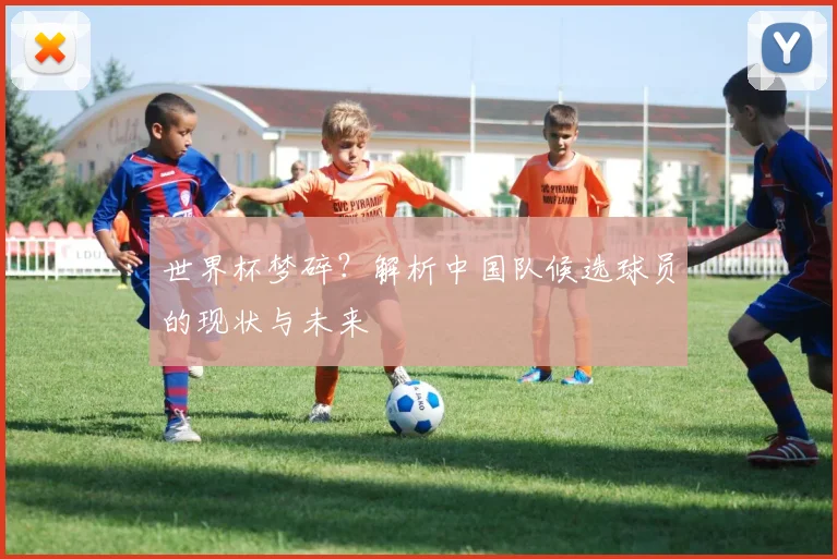 世界杯梦碎？解析中国队候选球员的现状与未来