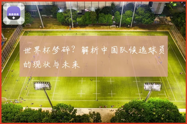 世界杯梦碎？解析中国队候选球员的现状与未来