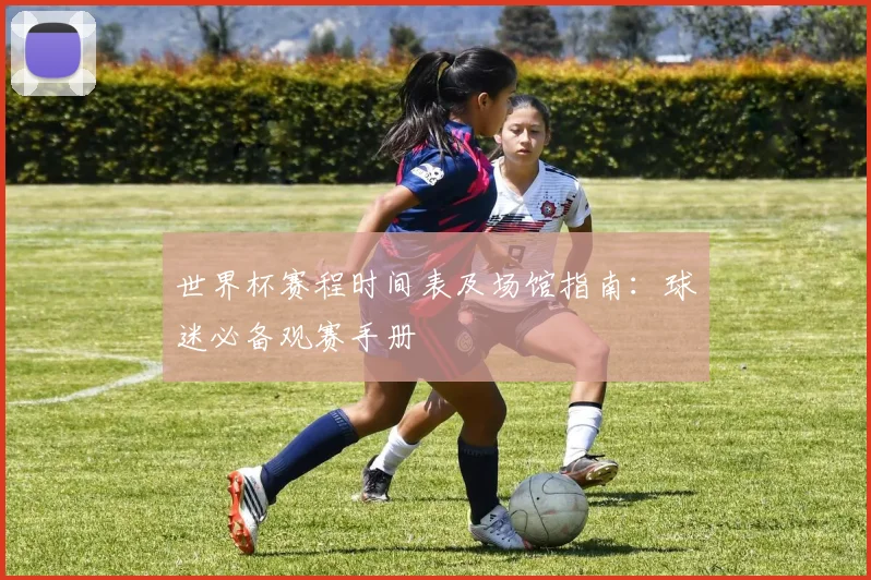 世界杯赛程时间表及场馆指南：球迷必备观赛手册